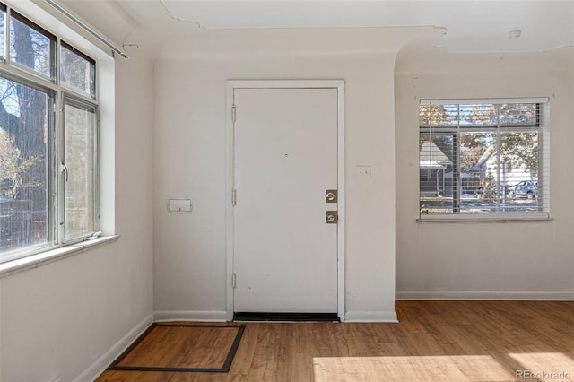 foyer with a healthy amount of sunlight and light wood-type flooring