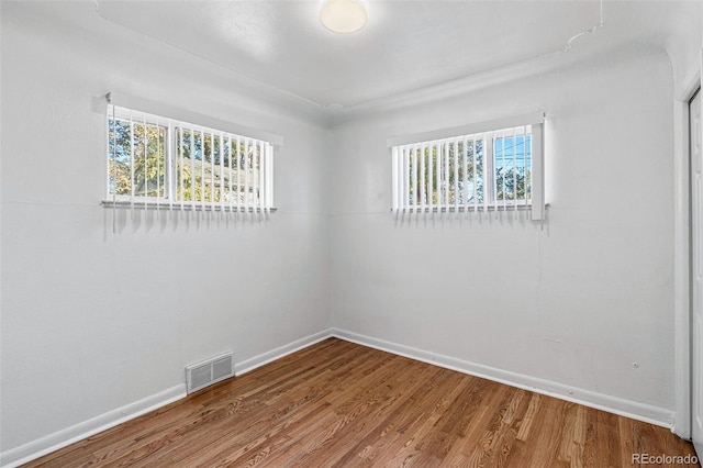 empty room featuring plenty of natural light and wood-type flooring