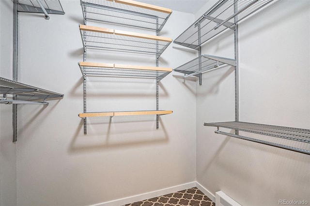 4258 Tennyson St Unit 101, Denver, CO 80212 - view of spacious closet
