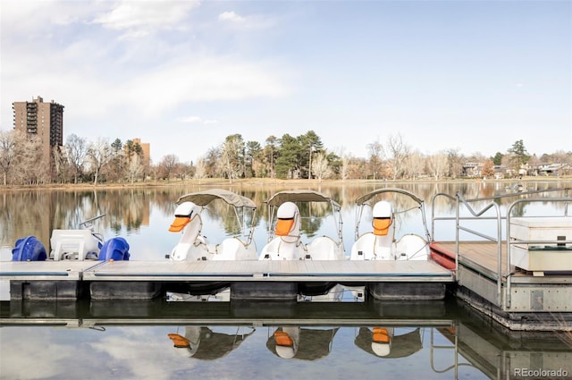 dock area with a water view