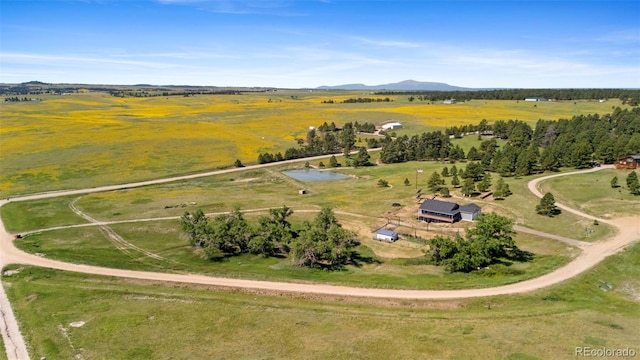 27083 Pine Vista Cir, Kiowa, CO 80117 - photo 43