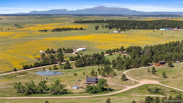 27083 Pine Vista Cir, Kiowa, CO 80117 - photo 44