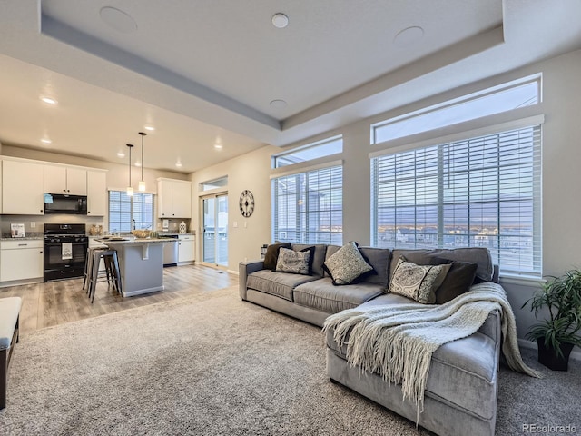 living room with a tray ceiling and light hardwood / wood-style flooring