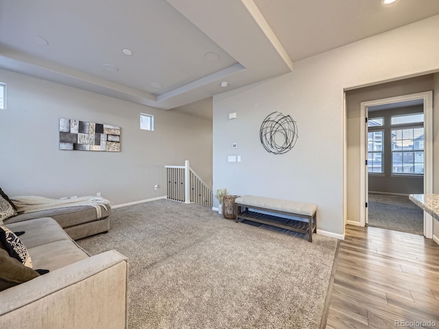 living room with hardwood / wood-style floors and a tray ceiling