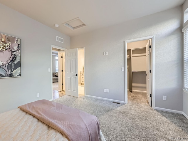 bedroom featuring light colored carpet, a closet, multiple windows, and a spacious closet