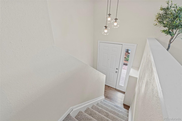 818 Don Juan Ct, Colorado Springs, CO 80909 - stairway featuring wood finished floors and baseboards