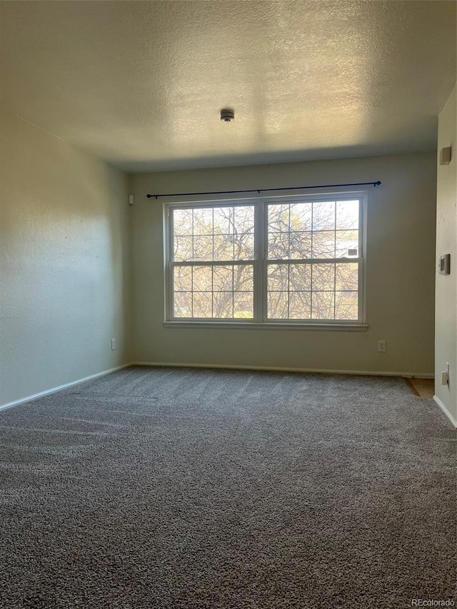 empty room with a textured ceiling, carpet floors, plenty of natural light, and baseboards