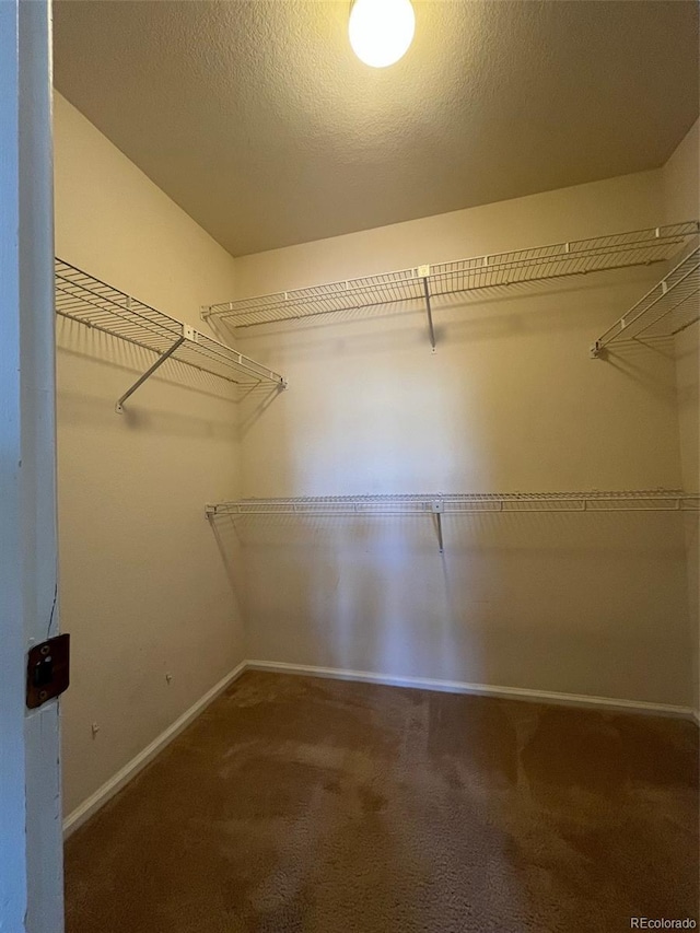 spacious closet featuring carpet flooring