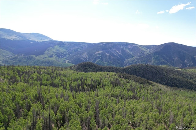 000 Forest Rd 504, Creede CO, 81130 land for sale