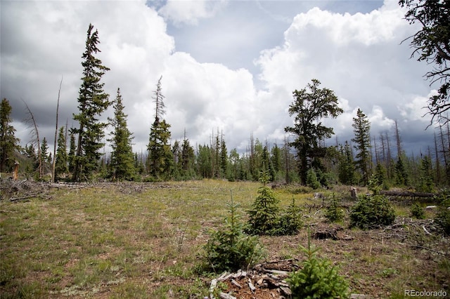 Listing photo 3 for 000 Forest Rd 504, Creede CO 81130