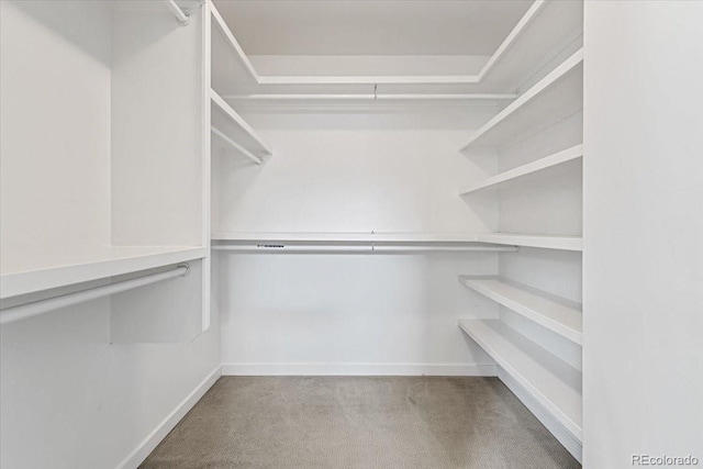 2420 S Gilpin St, Denver, CO 80210 - spacious closet with carpet flooring