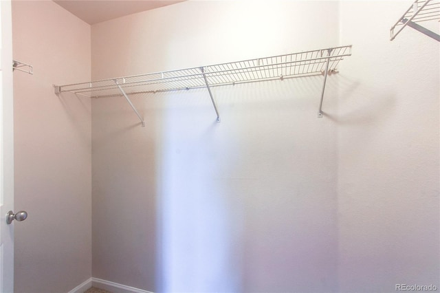13351 W Alameda Pkwy Unit 203, Lakewood, CO 80228 - photo 15