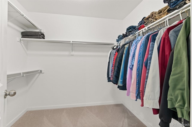 walk in closet featuring carpet flooring