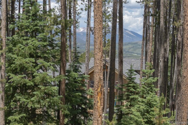 387 Moonstone Rd, Breckenridge, CO 80424 - photo 13