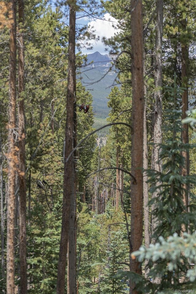 387 Moonstone Rd, Breckenridge, CO 80424 - photo 47