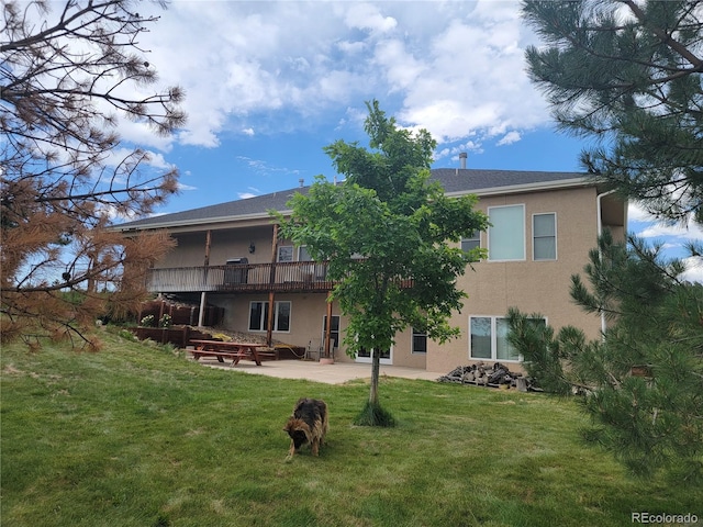 back of house featuring a patio area and a yard