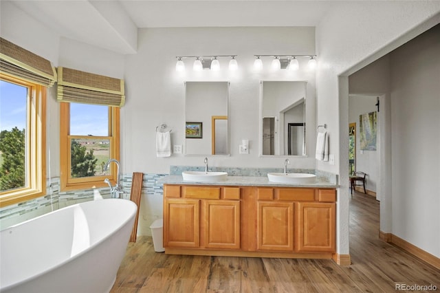 bathroom with vanity, hardwood / wood-style flooring, and a bathtub