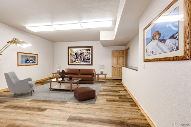 living room featuring wood-type flooring