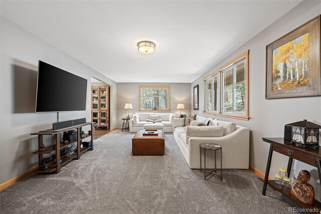 2857 Hiwan Dr, Evergreen, CO 80439 - living room featuring carpet flooring and baseboards