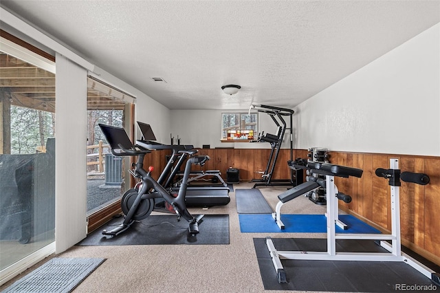 2857 Hiwan Dr, Evergreen, CO 80439 - workout area featuring a textured ceiling, a healthy amount of sunlight, and visible vents