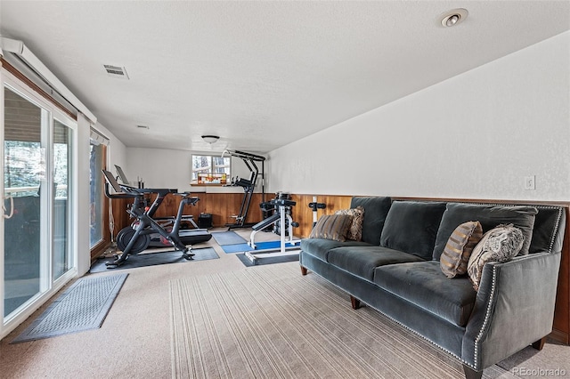 2857 Hiwan Dr, Evergreen, CO 80439 - exercise room with carpet flooring, a textured ceiling, wood walls, visible vents, and wainscoting
