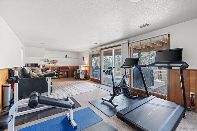 2857 Hiwan Dr, Evergreen, CO 80439 - exercise room featuring visible vents, carpet, wainscoting, and a textured ceiling