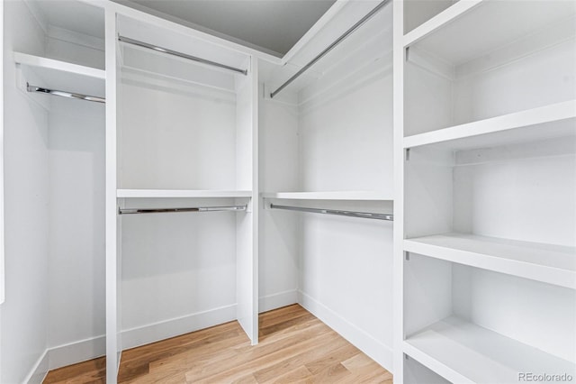 spacious closet featuring wood-type flooring