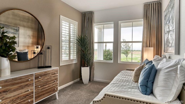 bedroom featuring carpet and multiple windows