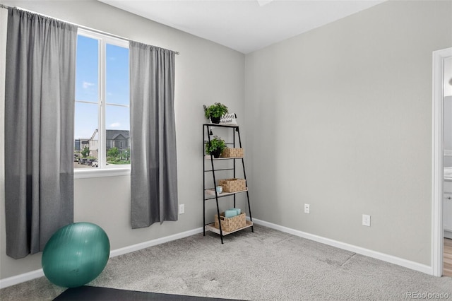 19629 W 93rd Dr Unit C, Arvada, CO 80007 - workout room featuring baseboards and carpet