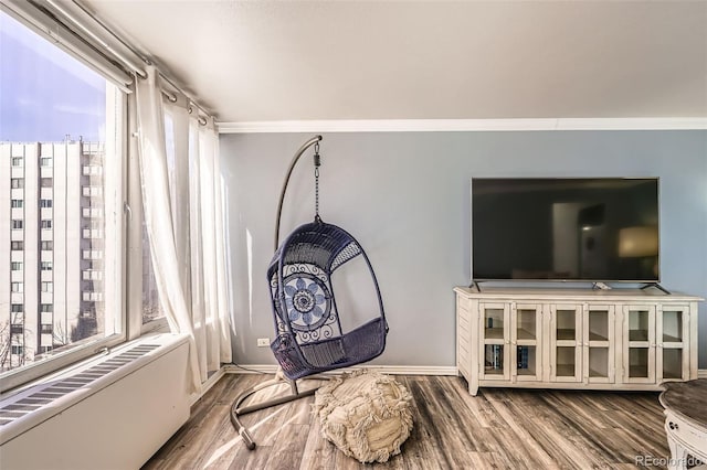 interior space featuring radiator, wood finished floors, plenty of natural light, and ornamental molding