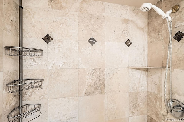 room details with tiled shower