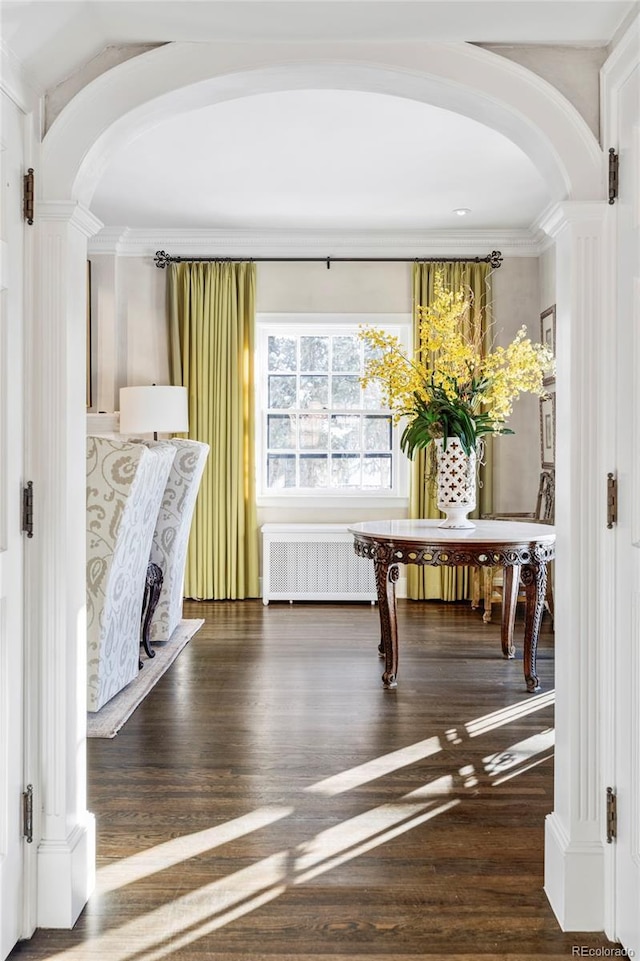 interior space with ornamental molding, radiator, and dark hardwood / wood-style floors