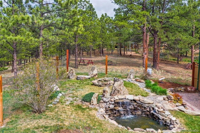 688 Obsidian Dr, Florissant, CO 80816 - view of yard