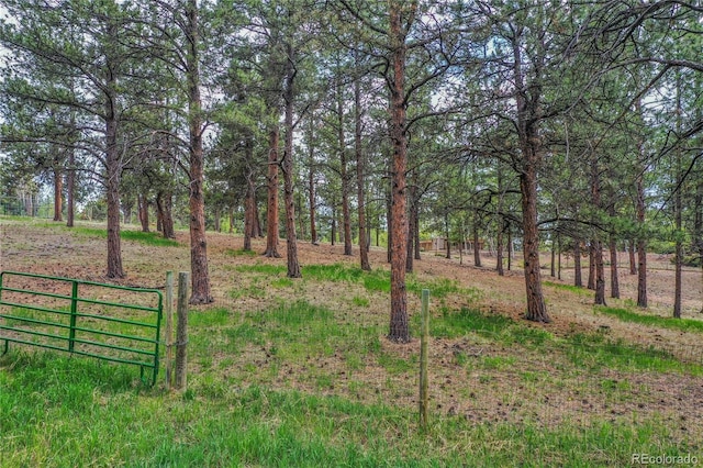 688 Obsidian Dr, Florissant, CO 80816 - view of yard