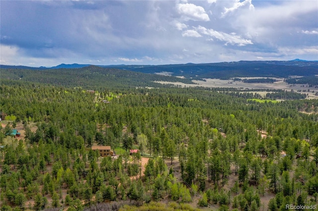 688 Obsidian Dr, Florissant, CO 80816 - bird's eye view of a heavily wooded area and mountains