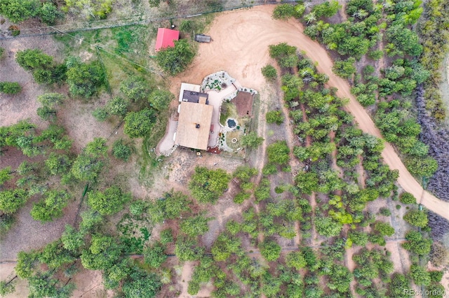 688 Obsidian Dr, Florissant, CO 80816 - aerial view of property and surrounding area