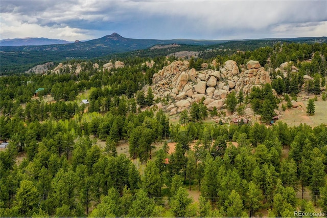688 Obsidian Dr, Florissant, CO 80816 - mountain view featuring a heavily wooded area