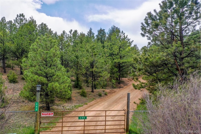 688 Obsidian Dr, Florissant, CO 80816 - view of street
