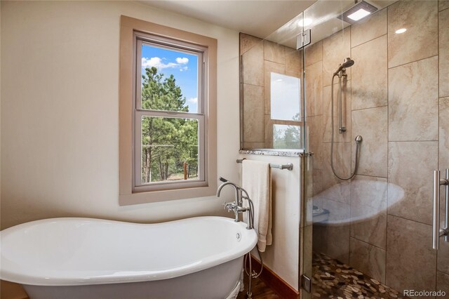 688 Obsidian Dr, Florissant, CO 80816 - bathroom featuring a soaking tub and a shower stall