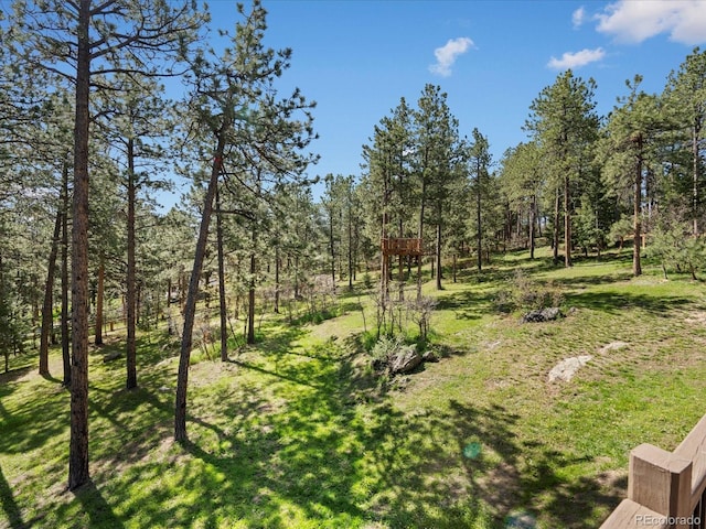 8422 S Ault Ln, Morrison, CO 80465 - view of grassy yard