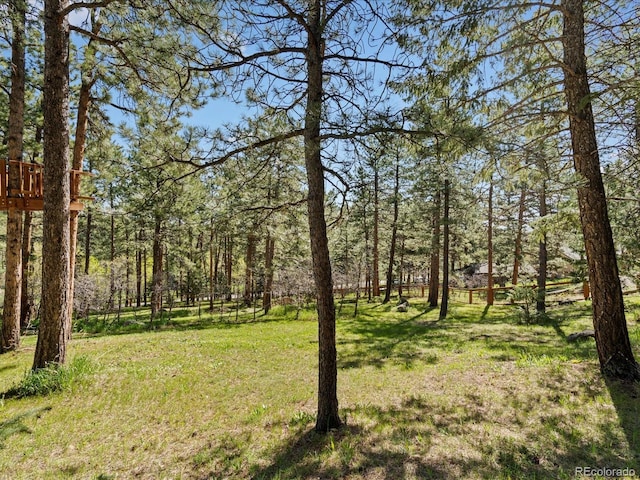 8422 S Ault Ln, Morrison, CO 80465 - view of grassy yard