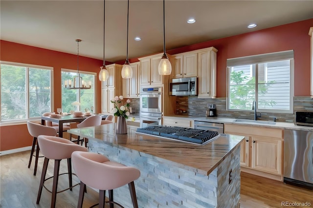 3091 Craig Ct, Castle Rock, CO 80109 - photo 10