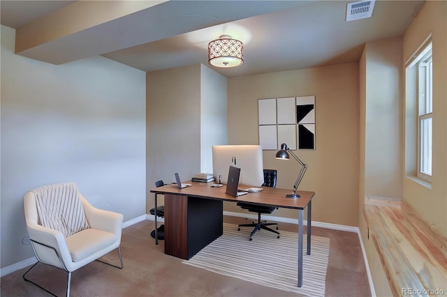 3091 Craig Ct, Castle Rock, CO 80109 - photo 35