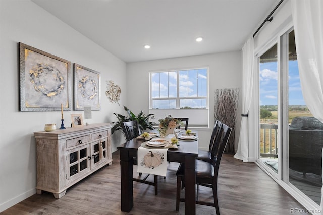 dining space with hardwood / wood-style floors and a healthy amount of sunlight