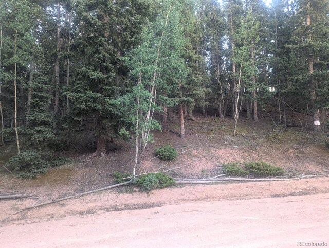 358 Pawutsy Rd, Florissant, CO 80816