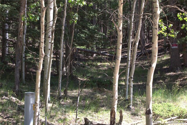 358 Pawutsy Rd, Florissant, CO 80816