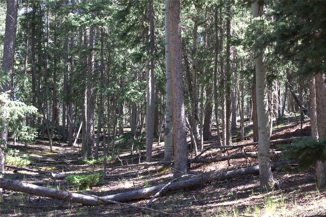 358 Pawutsy Rd, Florissant, CO 80816