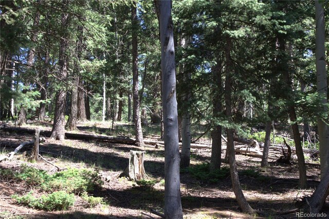 358 Pawutsy Rd, Florissant, CO 80816