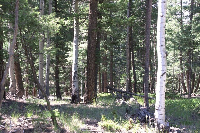 358 Pawutsy Rd, Florissant, CO 80816