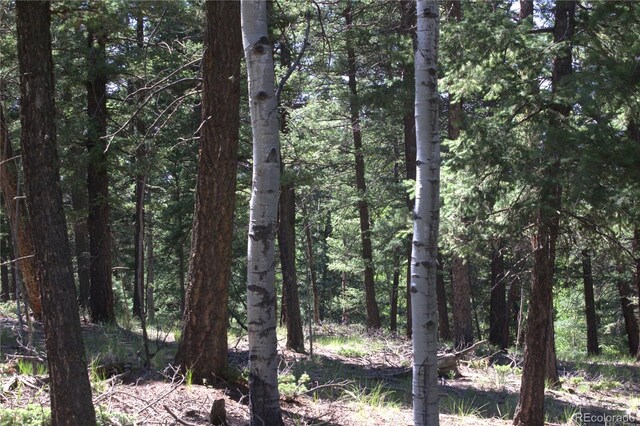 358 Pawutsy Rd, Florissant, CO 80816